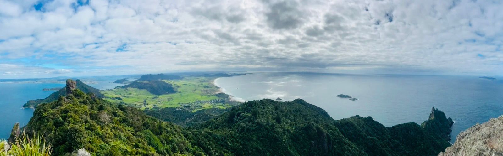 Mount Manaia and the Whangārei Heads coastline, Northland New Zealand — where Reuteri Bio-Ferment is made